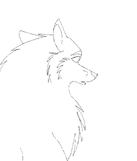 Head turn - Animation