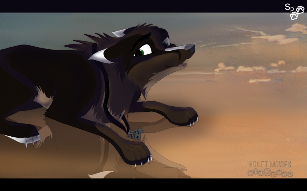 Contest Entry