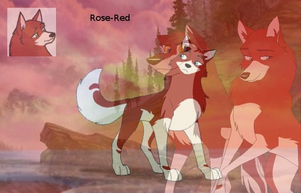 For catwhohas14tails-Rose-Red