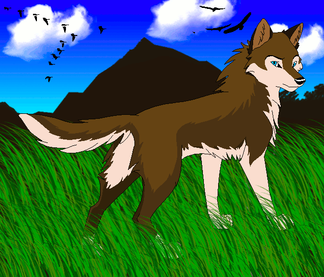 Soren