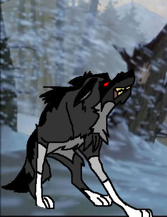 New character