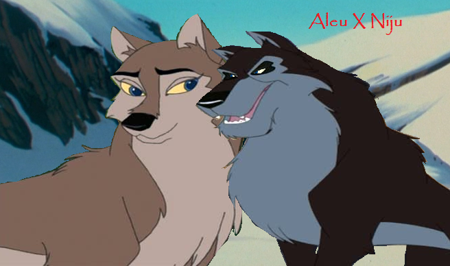 Aleu X Niju