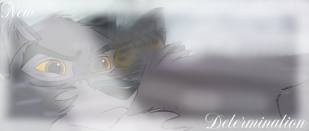 New Determination