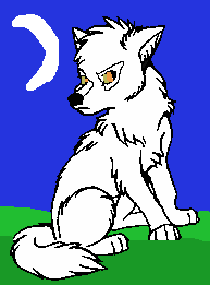 Here is Aniu as a puppy