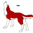 Kodi 