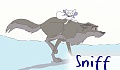 Sniff