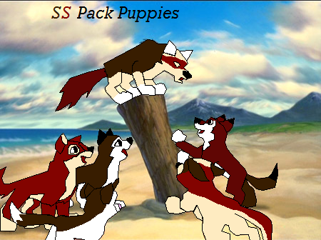 SS Pack Puppies
