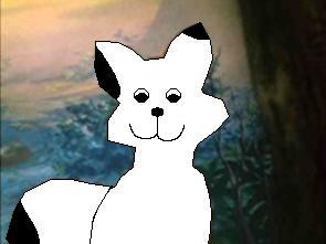 First Zorro Image