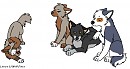 The younger members of the SS Pack...watching Pal 