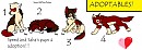 ADOPTABLES!!!