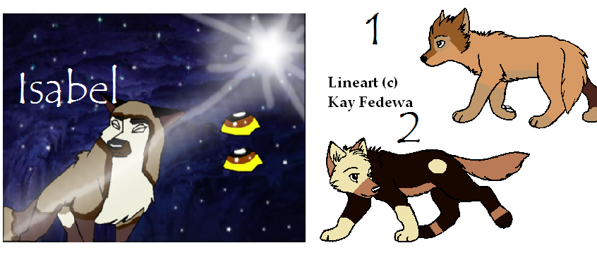 Last Adoptables!