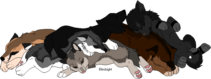 Raven and her sibs :D