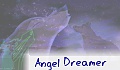 Angel Dreamer