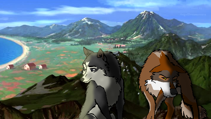 gem meets Tocho