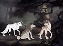In The Forest