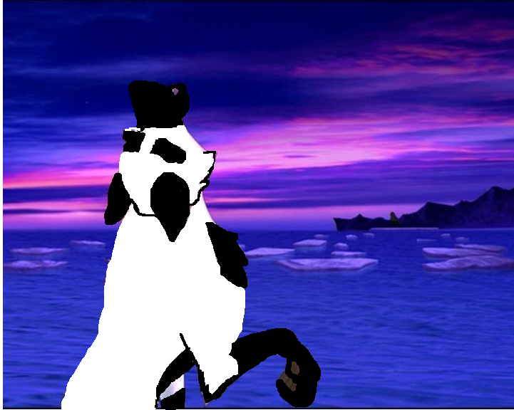Pine howling :D