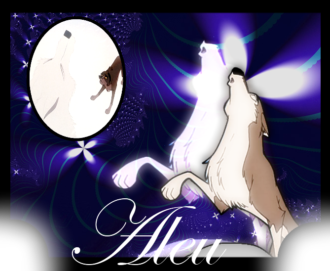 Alue