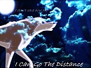aleu can go the distance