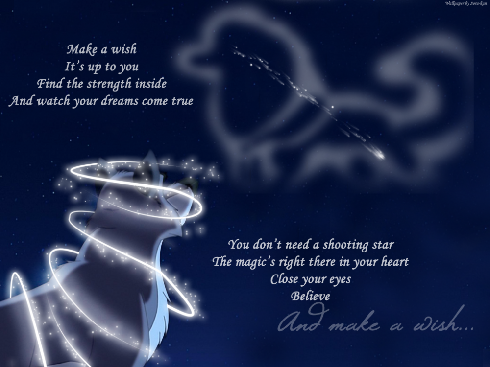 Make a Wish