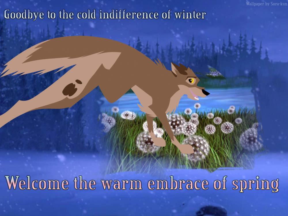 Goodbye Winter, Hello Spring