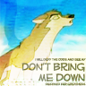 Don't Bring Me Down