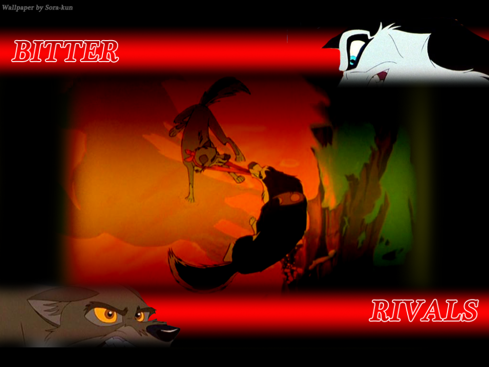 Bitter Rivals