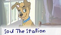 Soul The Stallion