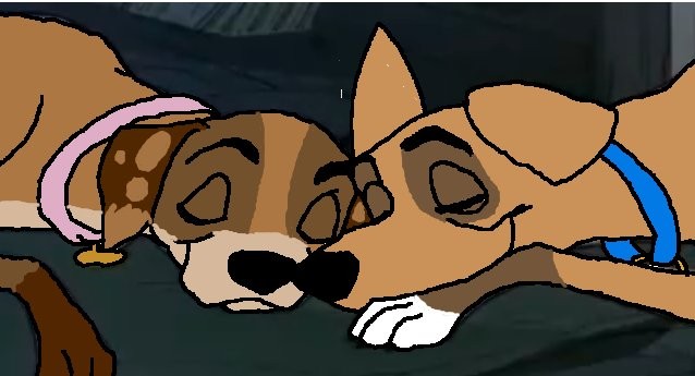 Mia and Racer