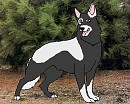 Sky my real life dog :D