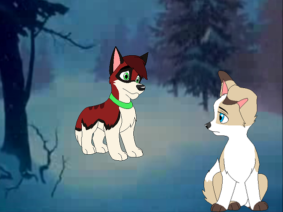 I'm Sorry...