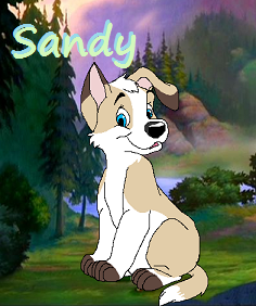 Sandy Avatar