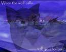 When the wolf calls...