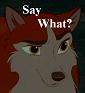 Say what?