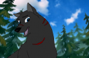 Xwolf for Xwolf 0_o