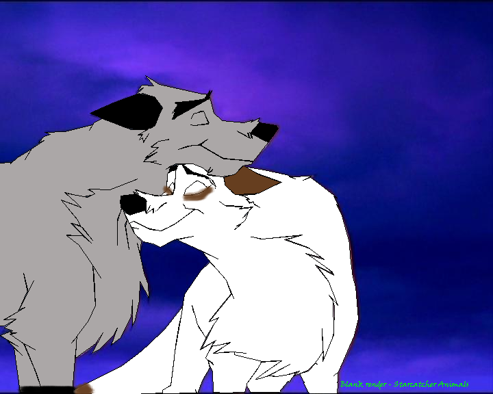 Love Birds