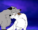 Love Birds