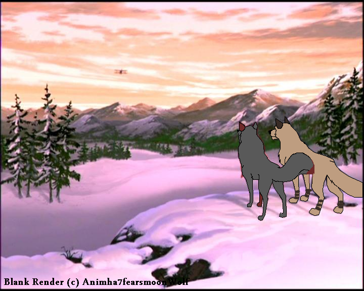 Suko and Mora watching the sunset.