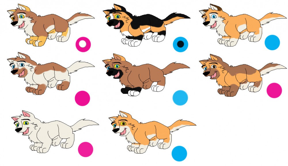 BuckXAleu Puppies!