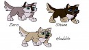 TrackerXAmanda Puppies: Da Boyz!!!!