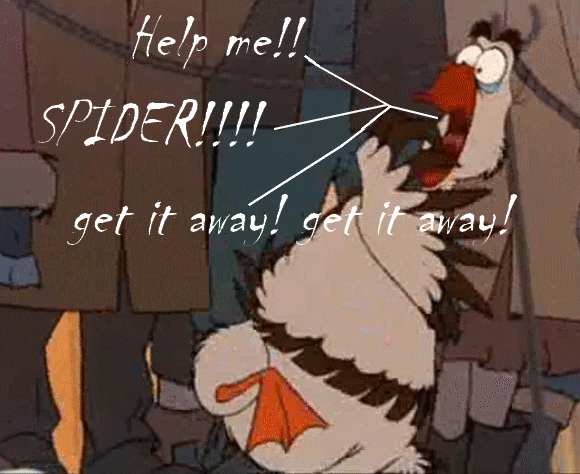 Spider!