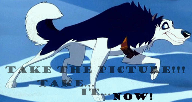 Take the picture