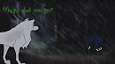 Where did you go?
