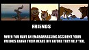  Friends 