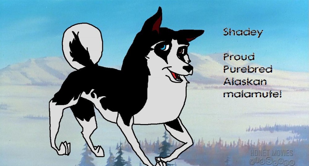 Shadey!