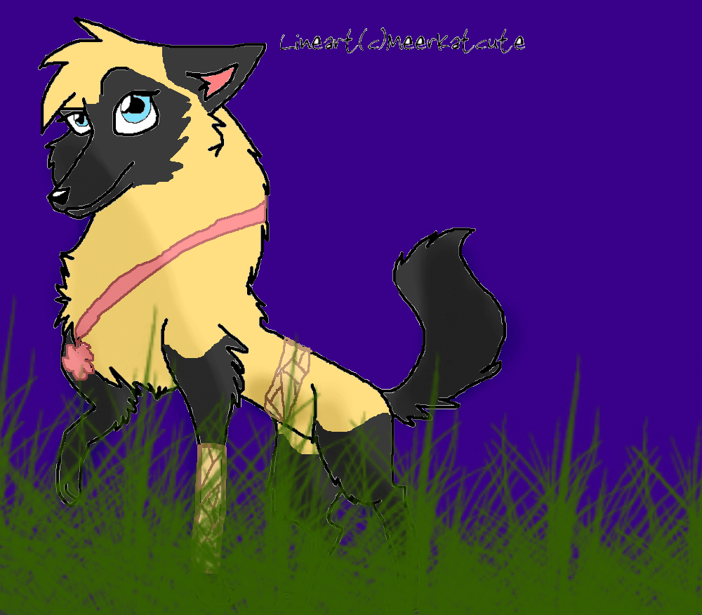 Gift for Kat!