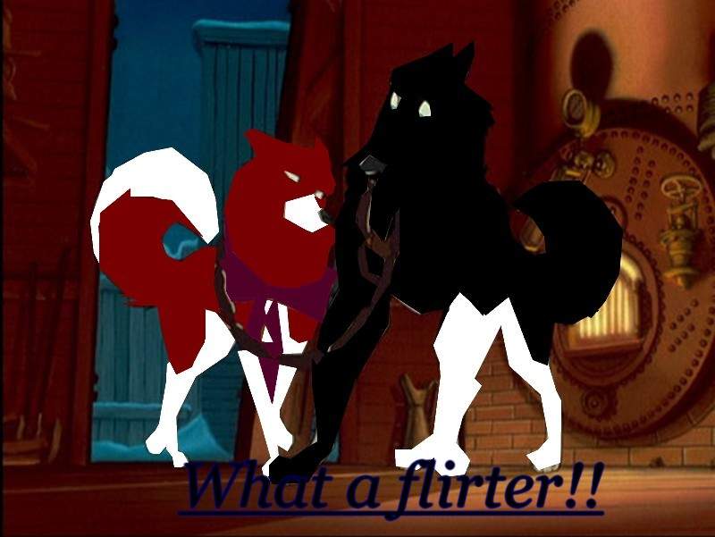 Kasha and Darkness