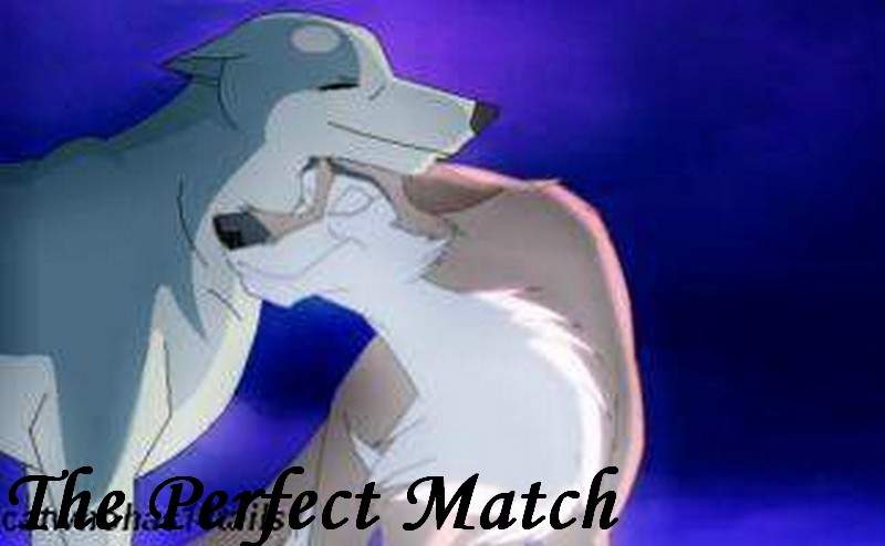 The Perfect Match