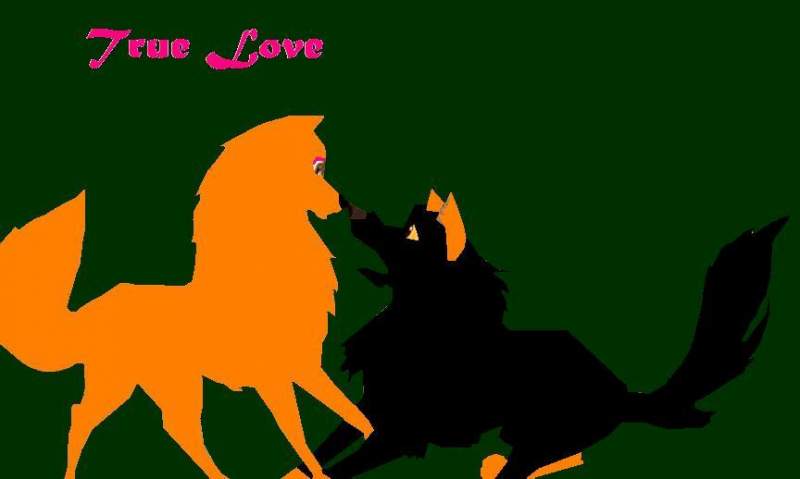 True Love