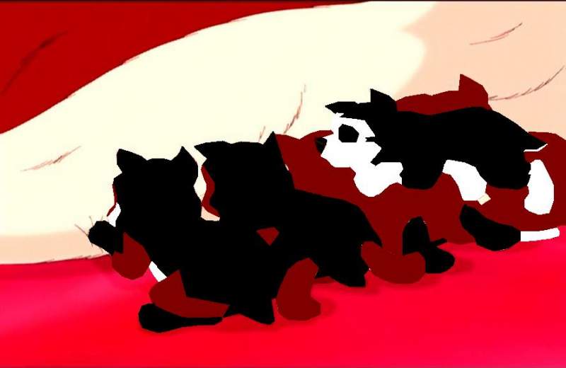 Puppies