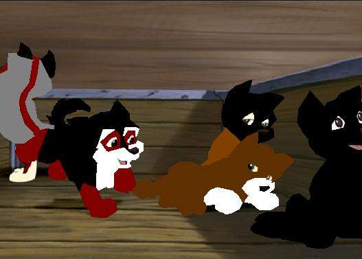 Puppies!!!! Yippie!!!!!!